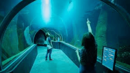 Aquatis Aquarium Tunnel