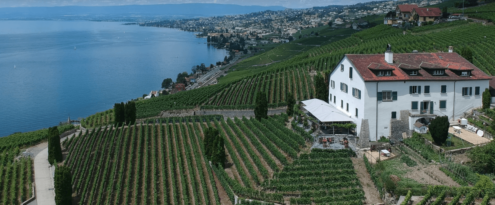 Weingut in den Lavaux-Terrassen über dem Genfersee
