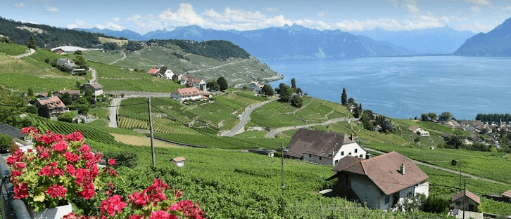 Panorama Lavaux-Rebberge